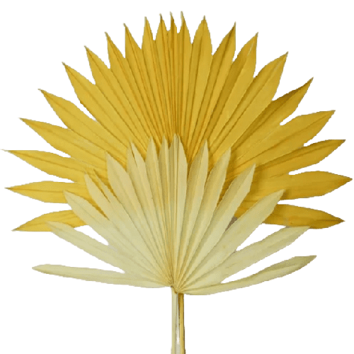 Decorative yellow palm leaves