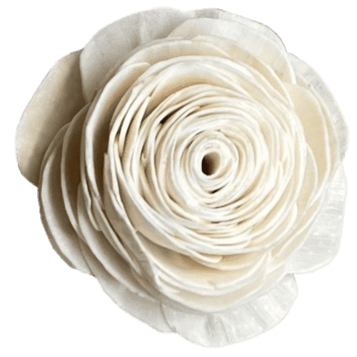 Flower Rose Cabbage