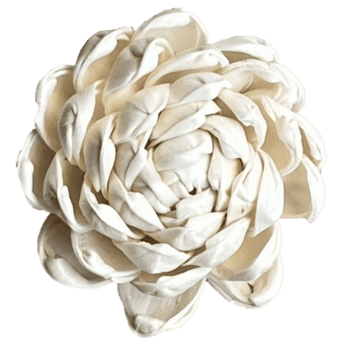 Flower Succulent Rose